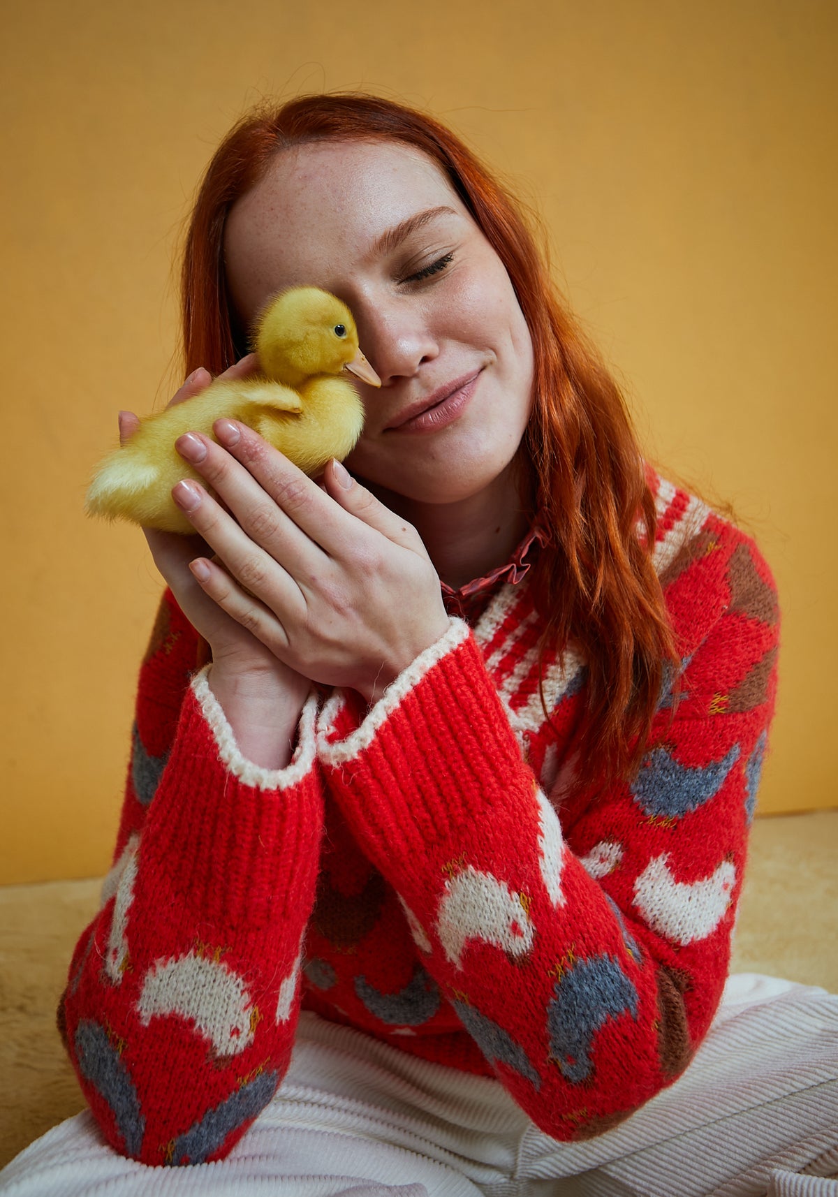 Jersey Gallinas Rojo