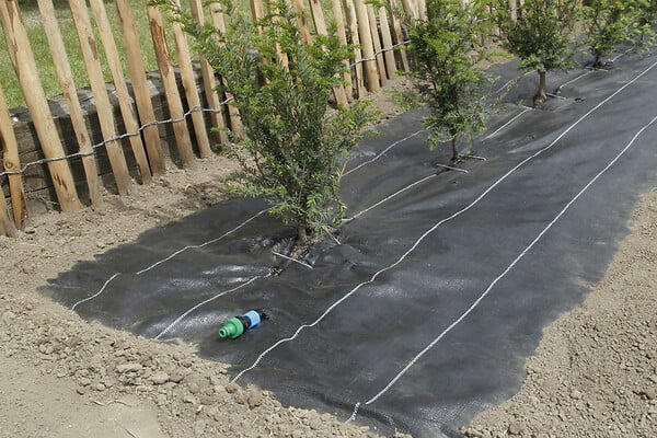 Toile de paillage avec tuyau Watersol - Polypropylène - 125g/m2